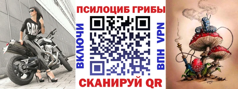 Псилоцибиновые грибы ЛСД  KRAKEN tor  Белый 